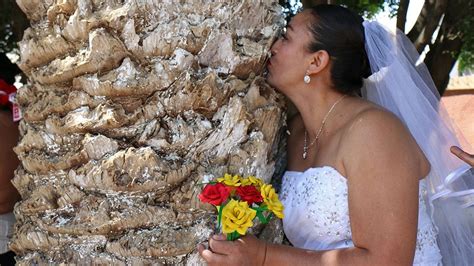 Women Are Marrying Trees To Help Save Them Fox News