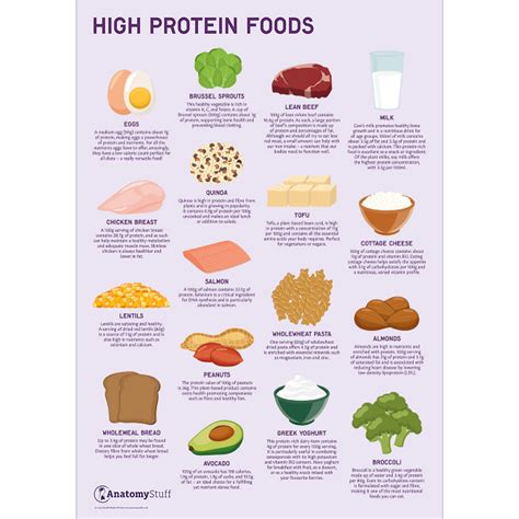 High Protein Foods Poster Nutritional High Protein Foods