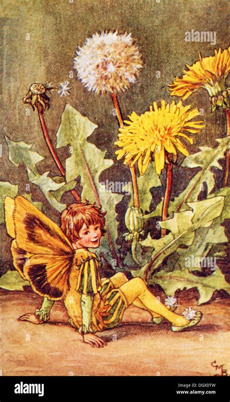 Fairy Fairies Cicely Mary Barker Dandelion Flower Flowers Illustration