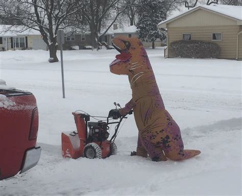 Auroras Snow Blowing T Rex I Just Wanted To Lighten The Mood