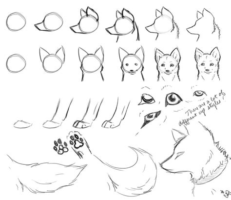 First, draw in circles from where the main sections of the wolf is. How-To-Draw Wolves Part 2 by DogWolf129 on DeviantArt