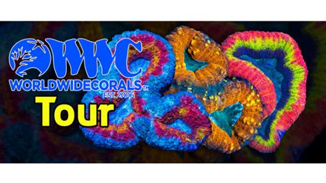 The Official Reef Builders Video Tour Of Worldwide Corals Reef