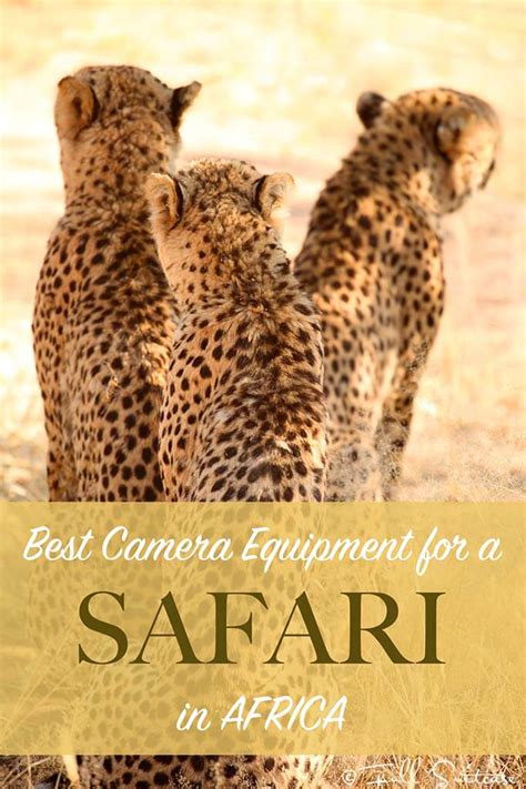 Best Camera And Lens For Safari In Africa All Budgets