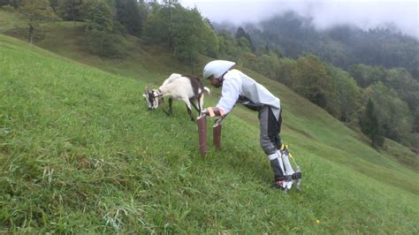Maybe you would like to learn more about one of these? Meet the Goat man - CNN Video