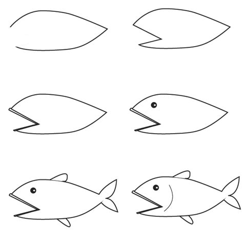 How to draw a salmon fish easy. Drawing fish