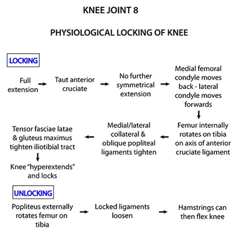 Instant Anatomy Lower Limb Joints Knee Locking