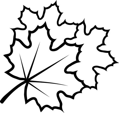 Leaves Svg Png Icon Free Download (#381678) - OnlineWebFonts.COM
