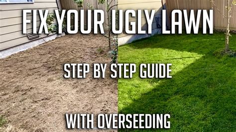 Fix Your Ugly Lawn In The Spring With These Easy Steps Overseeding