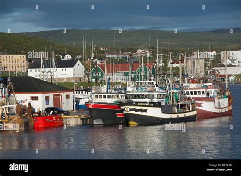 Canada Newfoundland And Labrador Newfoundland St Anthony Coastal