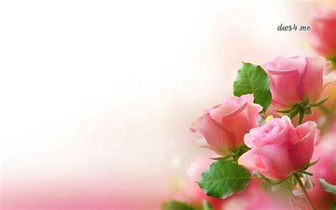 Background Ppt Bunga Mawar Gambar Bunga