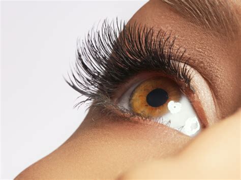DIYs For Longer Thicker Eyelashes Overnight The Life Pile