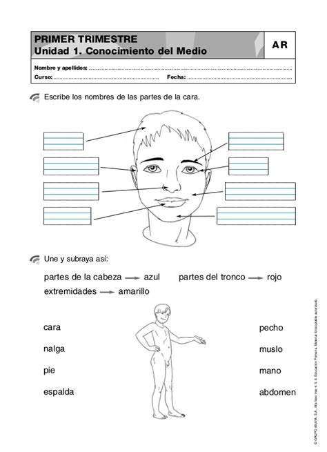 Fichas Conocimiento Del Medio Partes De La Cara Fichas Para NiÑos