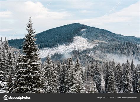 Scenic View Snowy Mountains Pine Trees White Fluffy Clouds Stock Photo