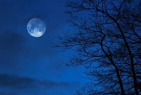 Full Moon Photos Stock Photos Pictures And Royalty Free Images Istock