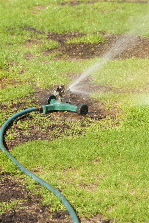 Is there anything like the feeling of walking barefoot across your lawn, feeling the soft, lush grass beneath your feet? How to Overseed a Lawn? The Unlimited Guides