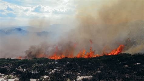 ‘impossible Arctic Wildfires Emerged Due To Global Warming Science Times