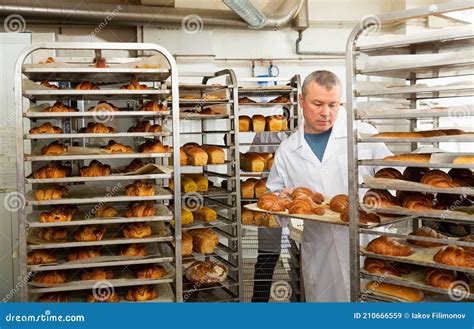 Baker Placing Tray With Baked Rolls On Trolley Stock Image Image Of Experienced Freshness