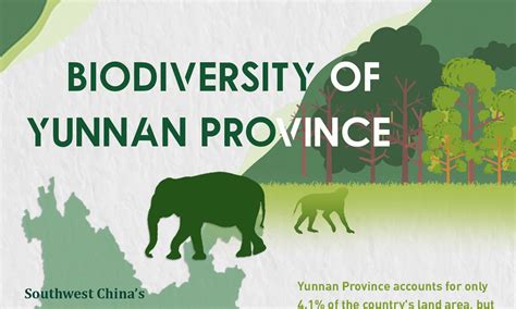 Two Critically Endangered Species Lost Over A Century Found In Yunnan