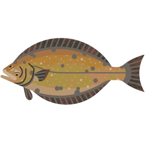 Halibut Png Hd Image Png All