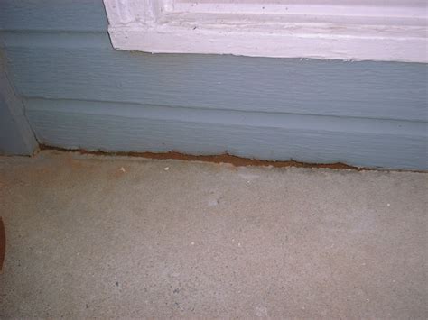 Having a problem with termites in your home? How do you know if you have termites?