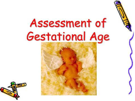 Ppt Assessment Of Gestational Age Powerpoint Presentation Free