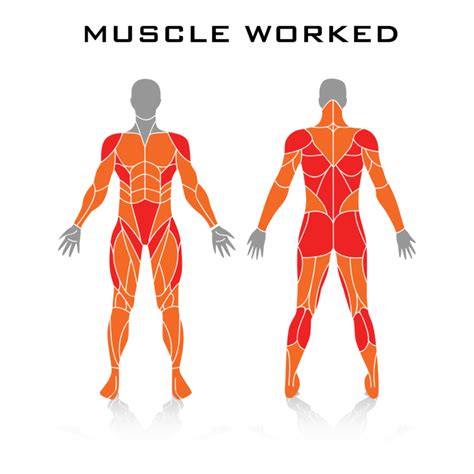 Jumping Jacks Technique Muscles Worked And Benefits