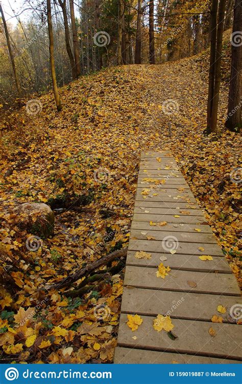 A Wooden Bridge Over A Stream Leading Deep Into An Autumn Park With