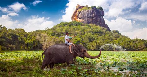 Reasons To Visit Sri Lanka In Next Holiday Season Travel With Us