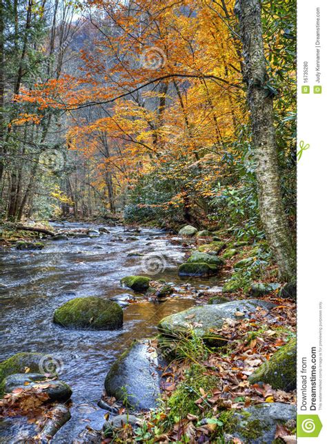 Autumn Stream With Mossy Rocks Stock Photo Image 16735280
