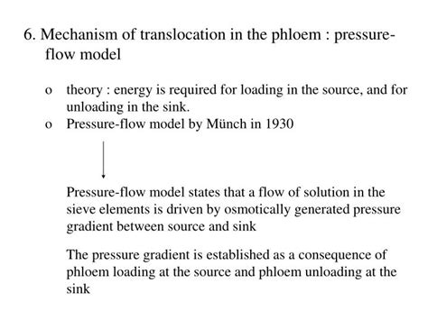 Ppt 6 Mechanism Of Translocation In The Phloem Pressure Flow Model