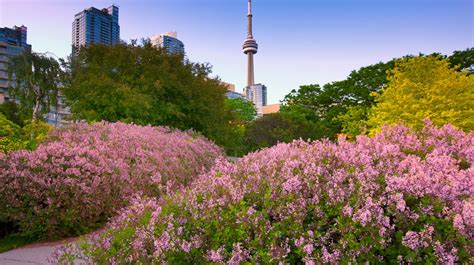 The 8 Best Parks And Green Spaces In Toronto