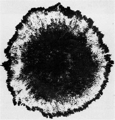 Autoradiograph Of A Whole Mycelium Of Cladosporium Resinae Following 30