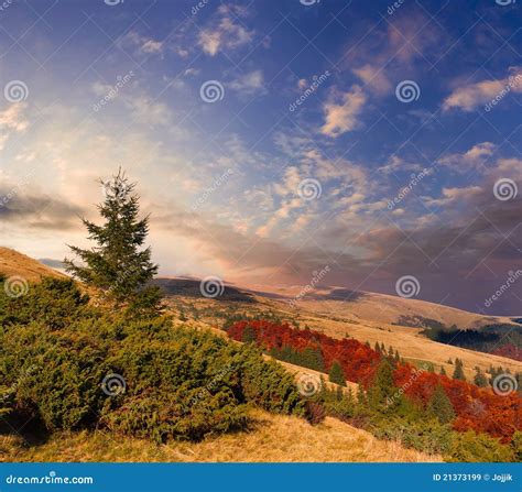 Colorful Autumn Landscape Stock Image Image Of Beech 21373199
