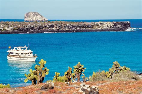 Land Based Galapagos Tours Or A Traditional Cruise Realwords