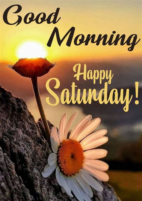 Latest 20+ Good Morning Saturday Images HD Downloads - MK Wishes