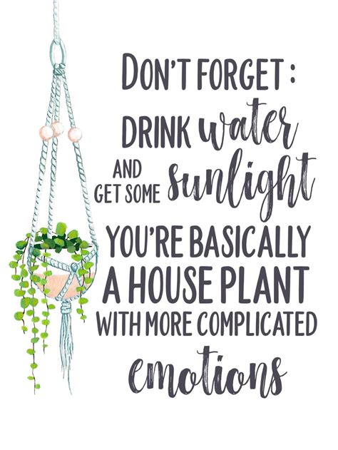 Youre Basically A House Plant Self Care Quote Water Reminder Plant