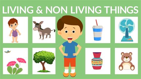 Living And Non Living Things For Kids Living Things Non Living