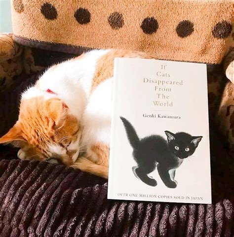 9 Japanese Books For People Who Love Japan And Cats Books And Bao