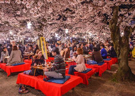 Complete Hanami Guide How To Enjoy A Cherry Blossom Party In Japan