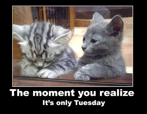 Even the day after tomorrow is. Its Only Tuesday Pictures, Photos, and Images for Facebook, Tumblr, Pinterest, and Twitter