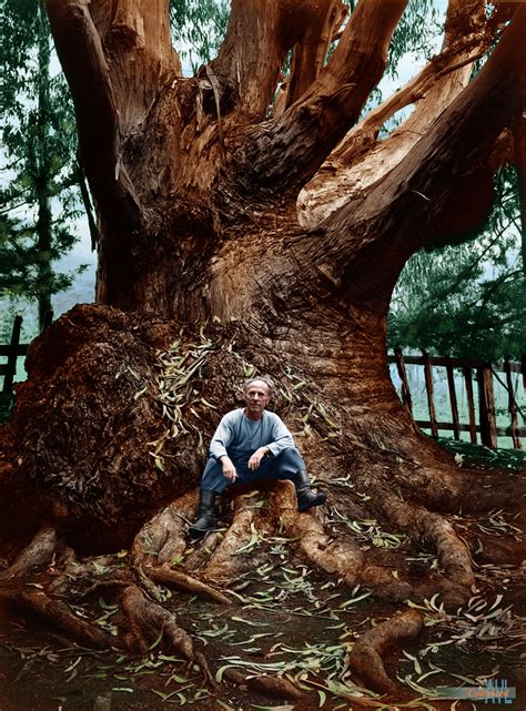 Portrait Of Edward Weston By Ansel Adams At Carmel Highlandsca 1945