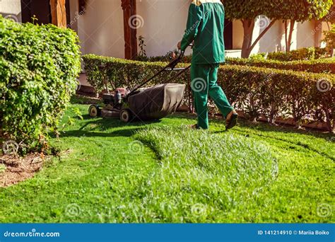 Man Mowing The Grass With A Lawn Mower By Hotel Worker Cuts The Lawn