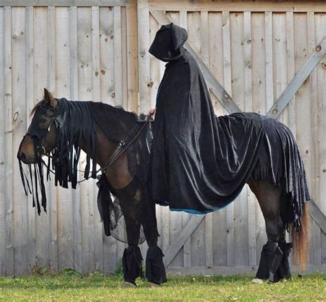 Nazgûl Dressing Up With A Horse As One Of The Dark Riders From Lotr