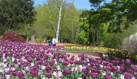 We're looking at a couple of days with beautiful weather this week. Brookside Gardens in Peak Spring Bloom