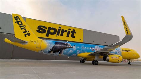 Spirit Airlines Introduces Dumbo Plane To Celebrate Release Of Live