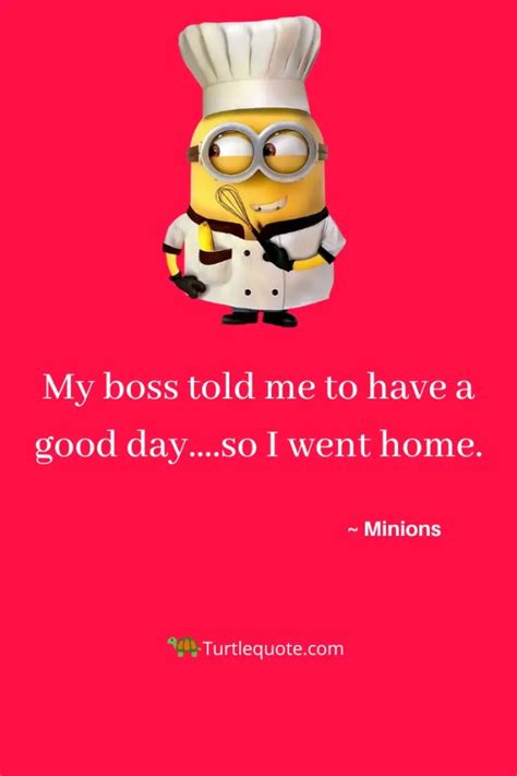 27 Funny Minion Quotes For Facebook And More Turtle Quotes