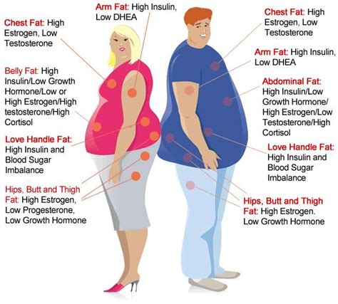 Overweight Sex Position Pictures