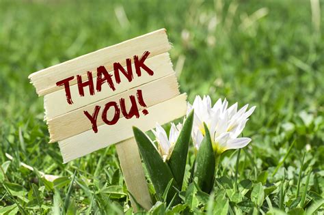 Did you find a mistake? Daughter of Hospice Patient Thankful for Heartland Hospice ...