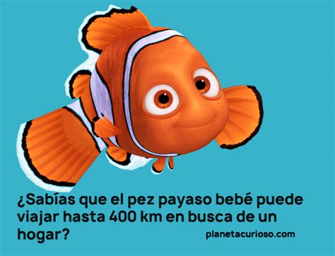 10 Datos Curiosos para niños que tal vez ni tú sabías 2 Planeta Curioso