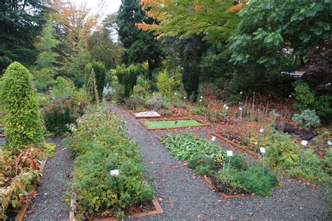 The Uw Medicinal Herb Garden More Than Just A Pretty Space Science